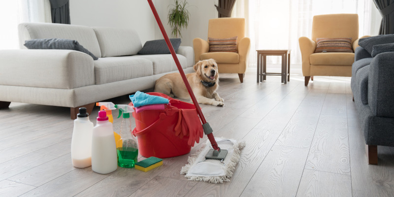 Pet-Friendly Cleaning in Boca Raton, Florida
